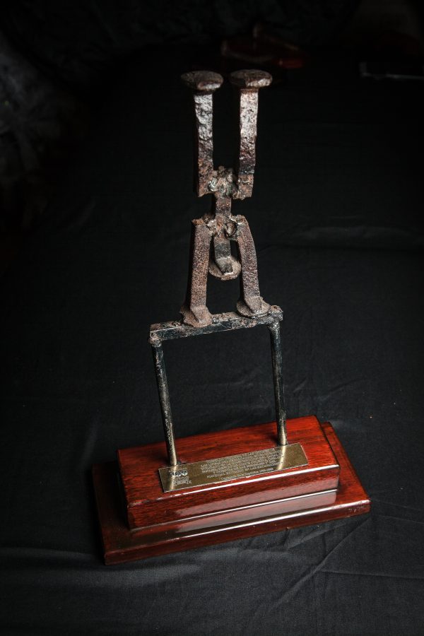 Gimnasta - Imagen 2